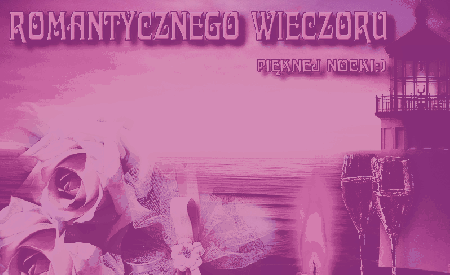 Biało różowe róże romantycznego wieczoru